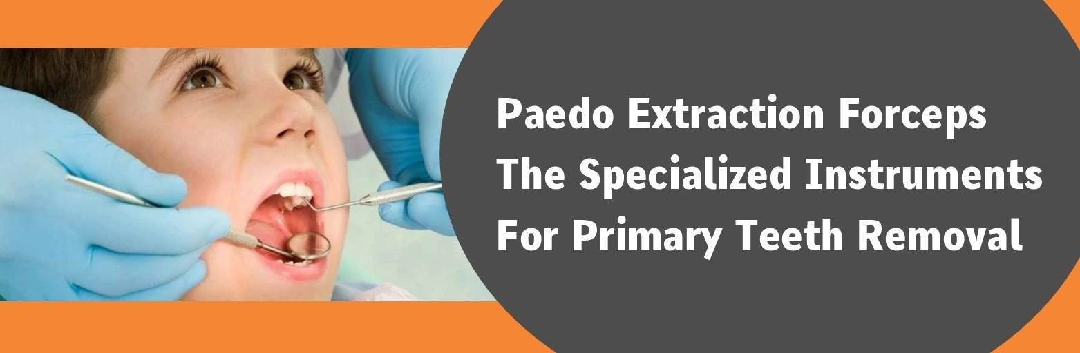 Paedo Extraction Forceps: The Specialized Instruments for Primary Teeth Removal