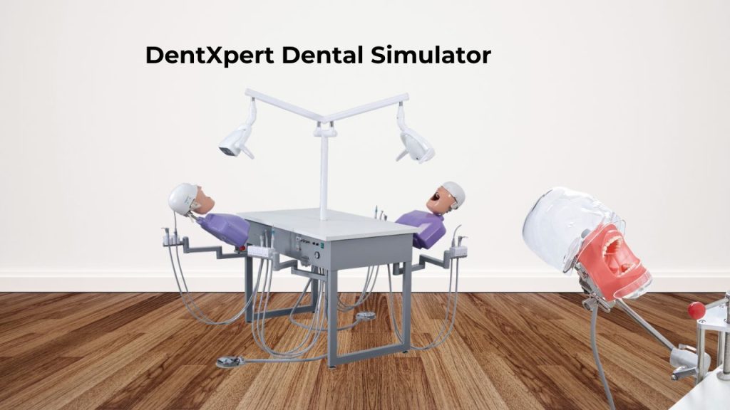 DentXpert Dental Simulator